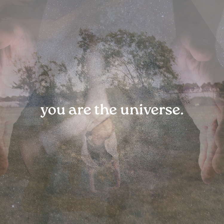You Are The Universe